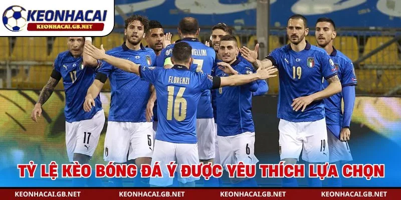 Tỷ lệ kèo bóng đá Ý được yêu thích lựa chọn